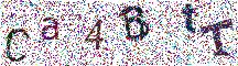 Beeld-CAPTCHA
