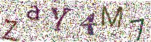 Beeld-CAPTCHA