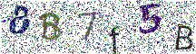 Beeld-CAPTCHA