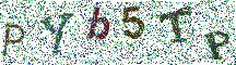 Beeld-CAPTCHA