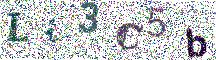 Beeld-CAPTCHA