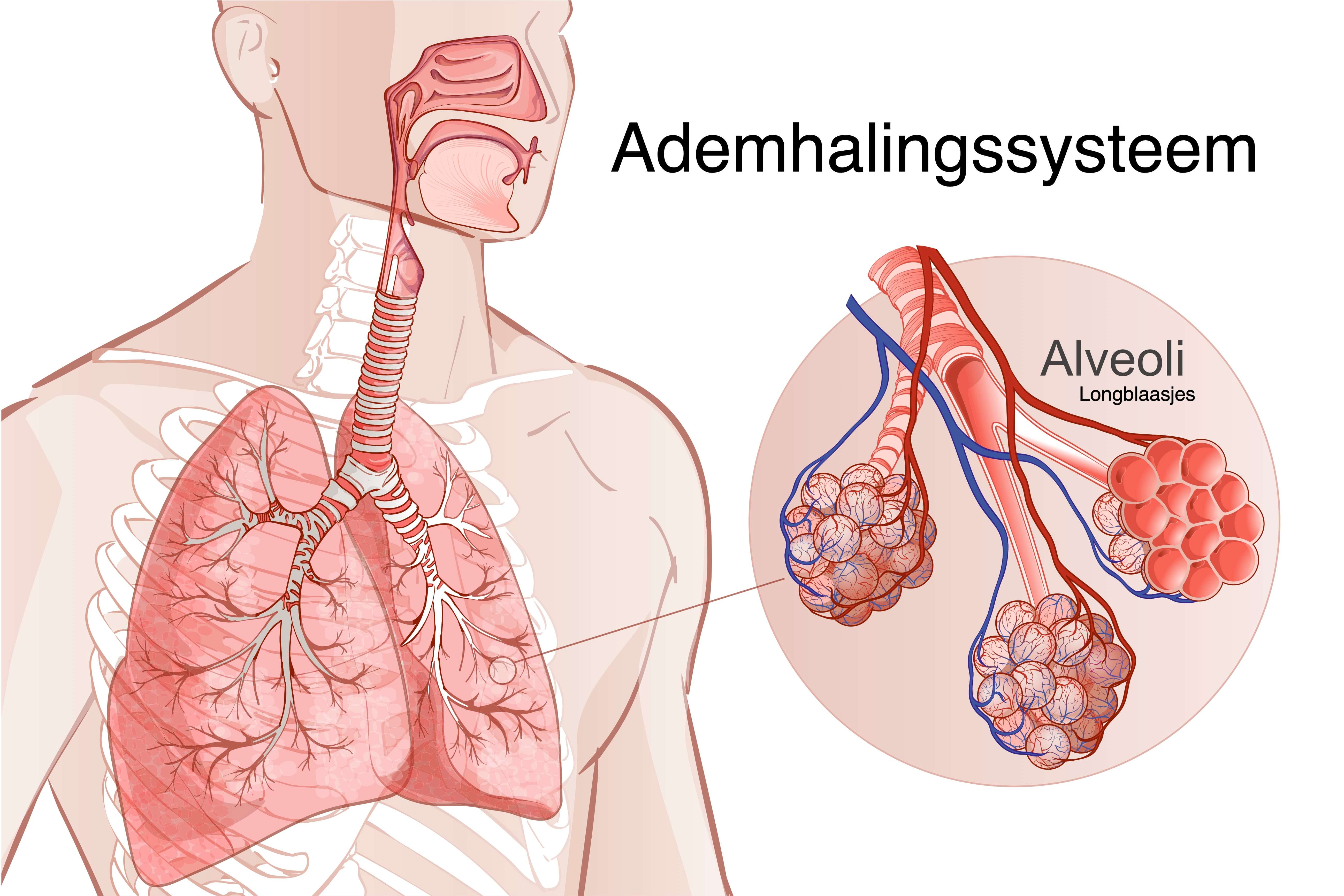 Longziekten en mondgezondheid.