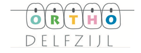 Ortho Delfzijl