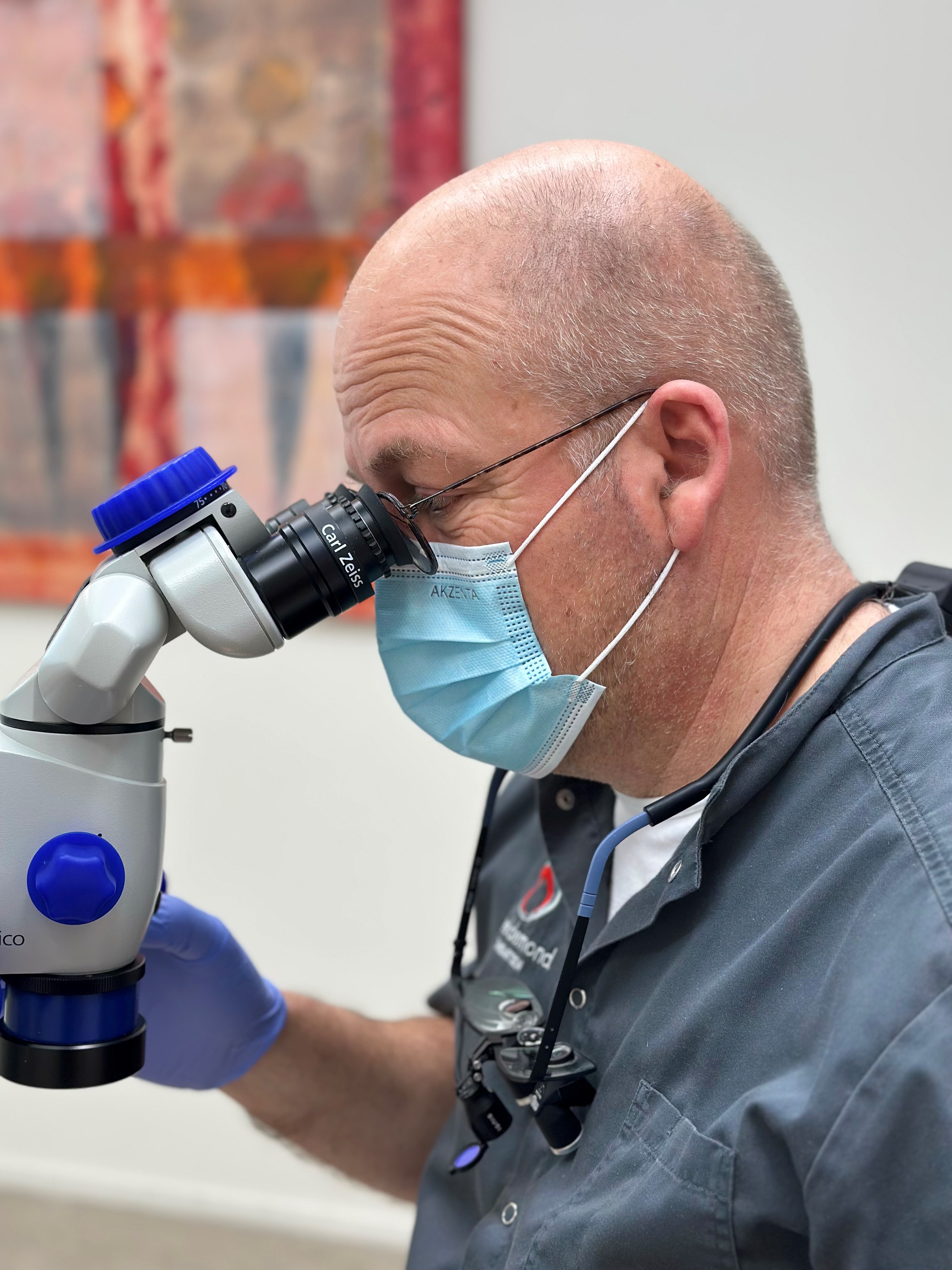 Tandarts.nl Heeldemond Tandartsen Zwolle implantologie