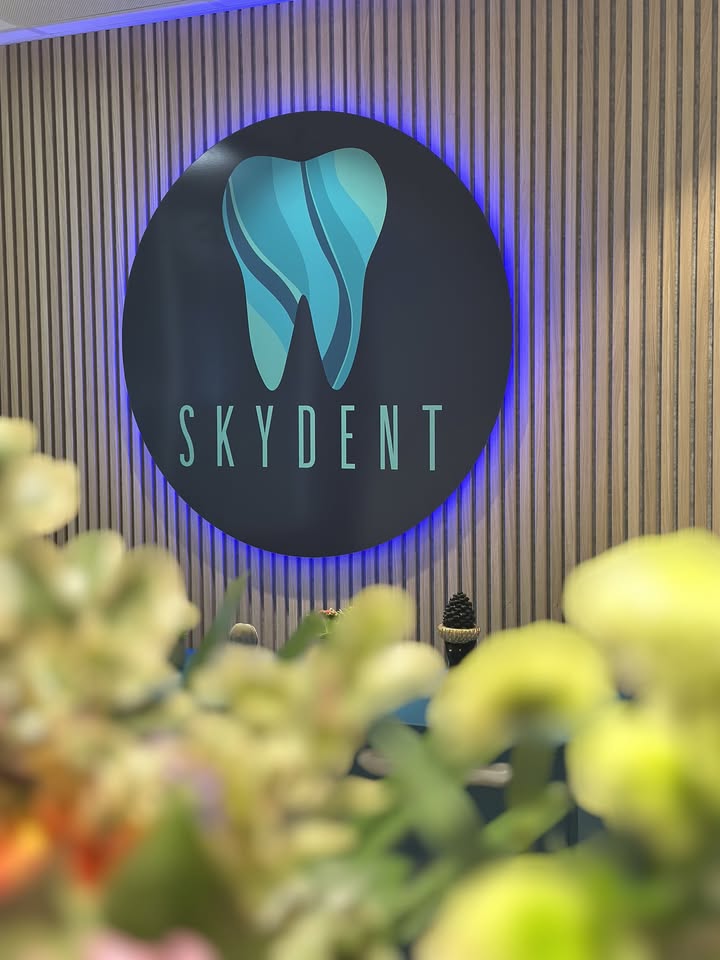 Skydent Leiden 