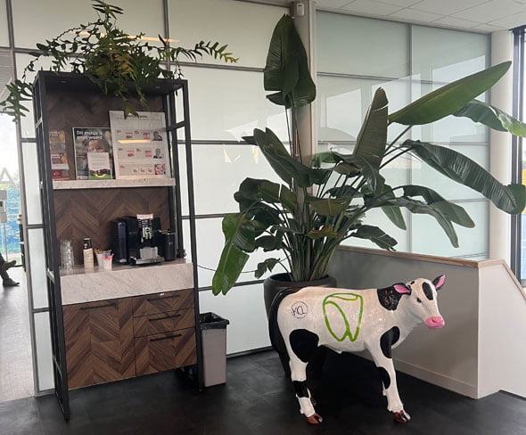 afbeelding tandartspraktijk