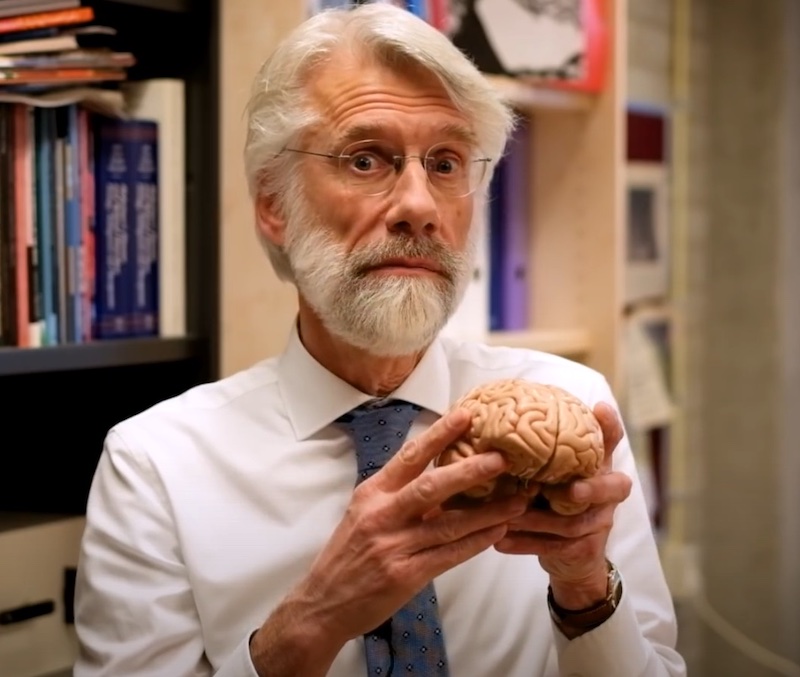 Professor Erik Scherder over senioren, zieke ouderen, het kauwvermogen en de hersenen.