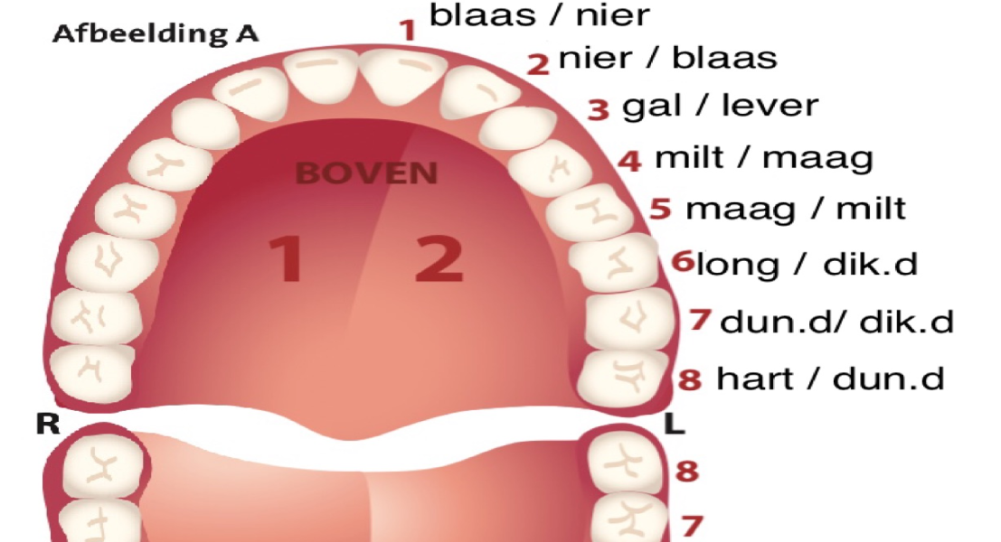 Image for Natuurgeneeskunde & Biologische tandheelkunde