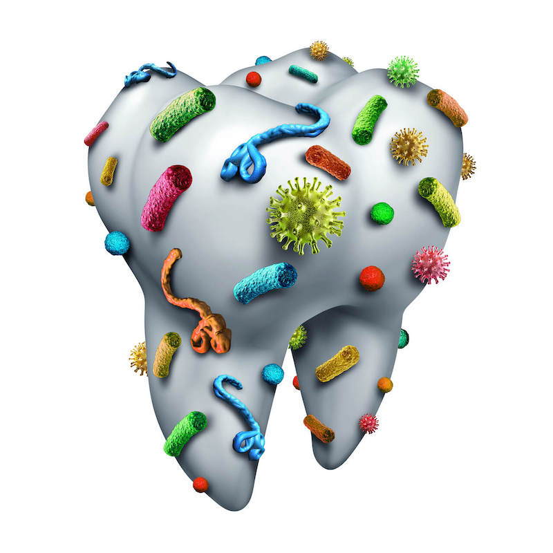 Image for Risico op tandbederf verlagen met actieve plantenstoffen en probiotica