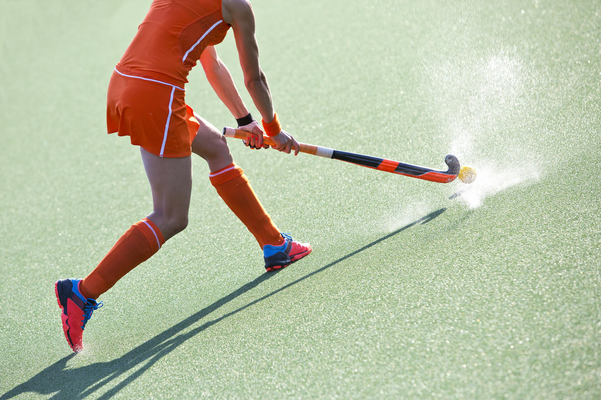 Image for Voor alle sporters van Nederland