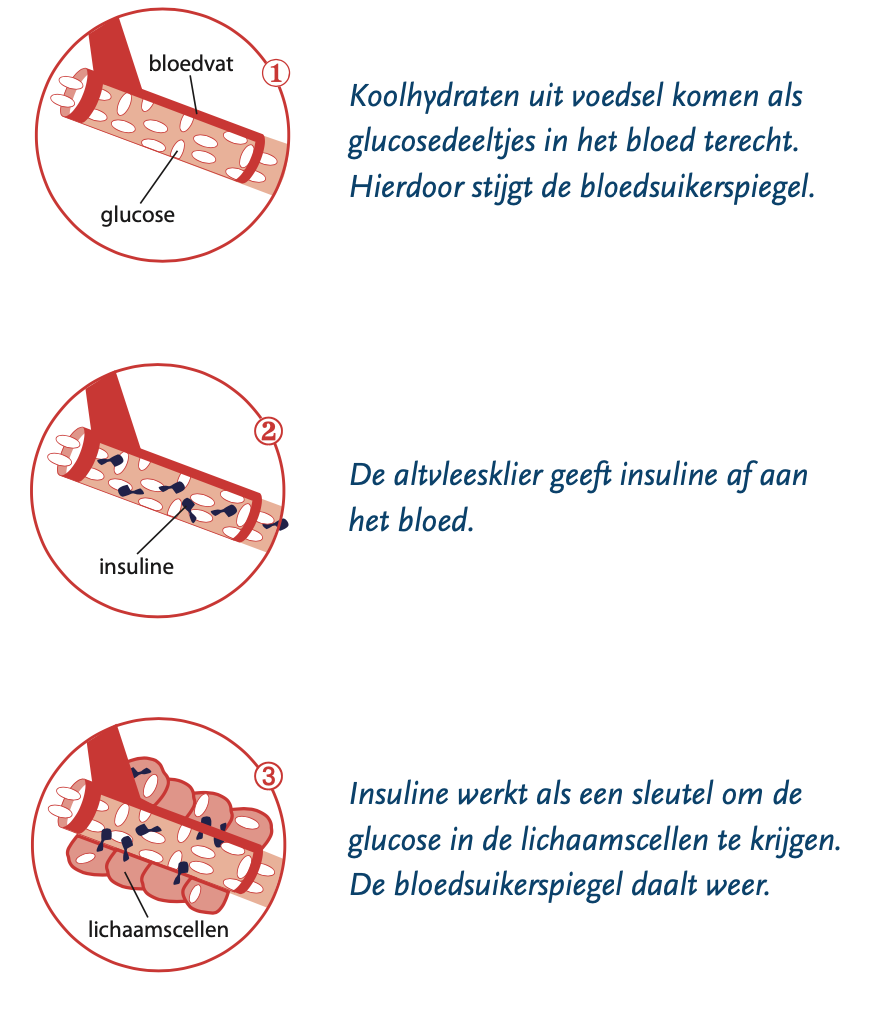 Afbeelding aderen en glucose