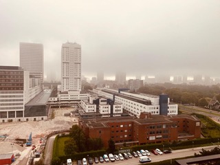 Erasmus in de mist