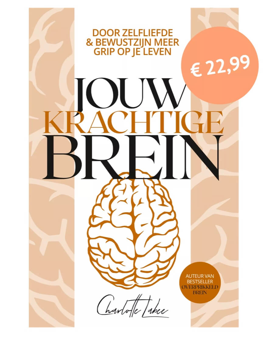 boek jouw krachtige brein