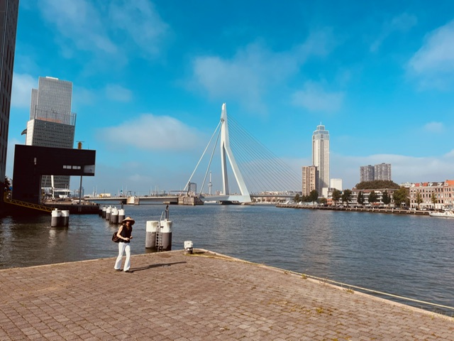 zwaan